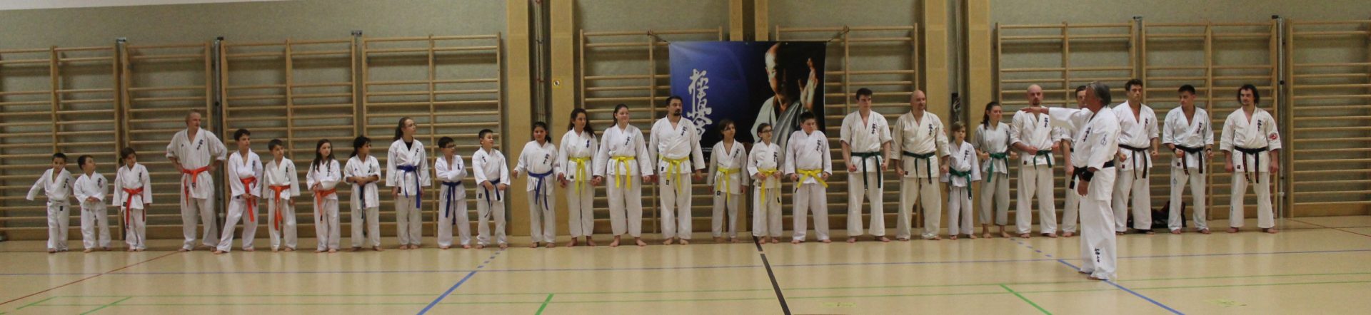 Karate Strasshof