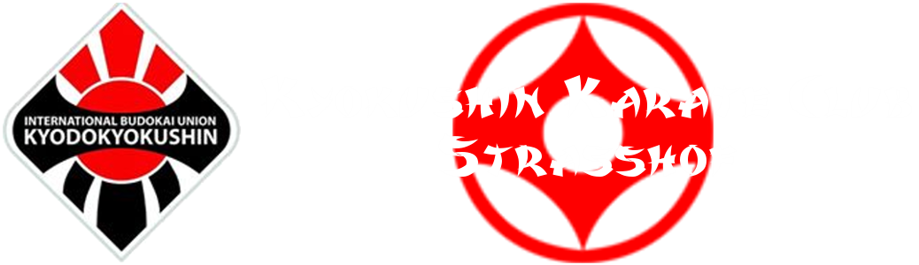 Karate Strasshof